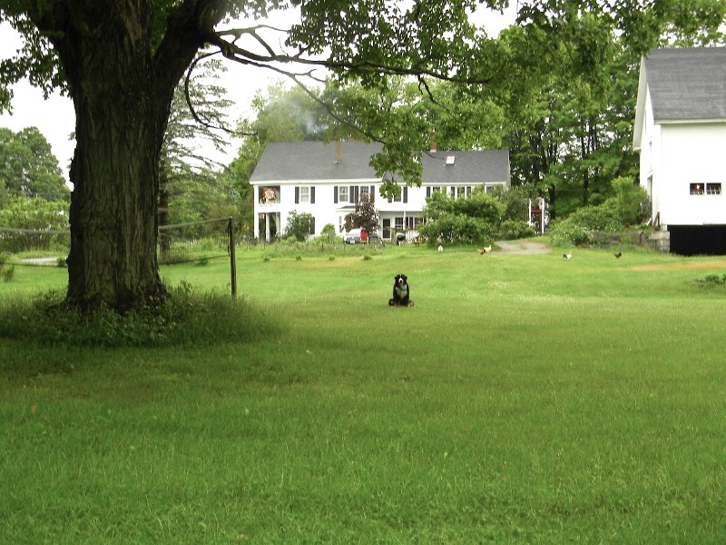 367-Bart Rumney Home with Dante.jpg